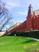 丧子之痛，由小贝帮你抚平