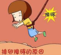 泰国试管婴儿-排卵障碍患者能成功吗