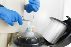 高龄不孕做泰国试管要注意什么是否需要借卵