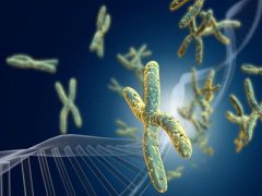 染色体平衡易位做泰国试管婴儿能成功吗？