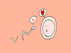 试管婴儿移植后如何应对便秘?